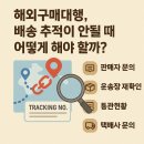 송사공문중 | 해외구매대행 배송 추적 불가? 5가지 해결법 완벽 가이드