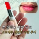 윤언니 | 막 발라도 예쁘다구? 드로에뚜 젤틴트 첫 사용감 리얼 후기 with 바닐라윤 내돈내산