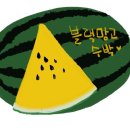 초록망고 이미지