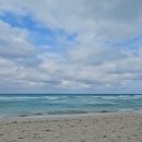 카리브해 이미지