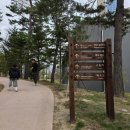 쌀로하는 아동요리 | 아이와 평창 1박2일 여행 휘닉스파크 온도 조식뷔페 만족했던 리얼후기