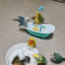 선호목욕탕 이미지