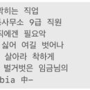 돈숨 이미지