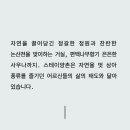 스테이양촌