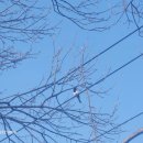 정을품은 펜션 이미지