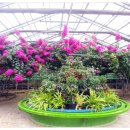 KJ모텔 | 1박 2일 부부동반 제부도 여행(① 후기를 시작하며...)