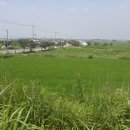 도시공원 행정사사무소 이미지