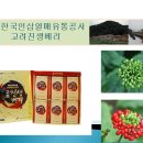 진생칸 이미지