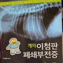 위케어동물의료센터 네이버블로그