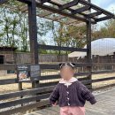 남대문 아동복 브랜드 '보니토' 멜빵팬츠&'지플라워' 골덴블라우스 내돈내산 후기