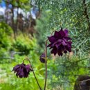 광기농장 이미지