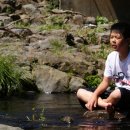 강정초등학교 이미지