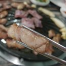 꽃돼지갈매기 이미지