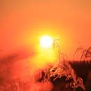 송탄출장소 앞 사거리 (송탄출장소 앞) 이미지