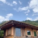 섬진강 찔레꽃 언덕 이미지