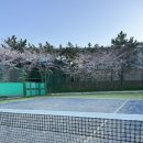 백운포체육공원(테니스장앞) 이미지