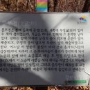 시골정