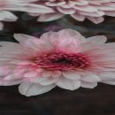 행복보청기 이미지