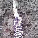 명봉1길 이미지