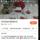 천아트 Daum카페