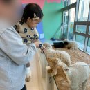 스펀지PC방 | 15개월 아기가 즐기기엔 무리였던 송도 애니멀클럽 솔직후기