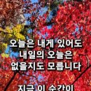 사천만 이미지