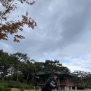 포레드노드 이미지