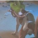 애나동물병원 이미지