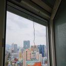 서면유림노르웨이숲 이미지