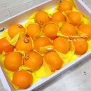 월광농장 이미지