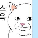 꼬리치랑개 이미지