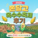 고성푸드 | 쫀달고 축제 다녀온 후기 고성 옥수수축제 솔직후기