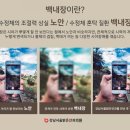 서울봄안과의원 이미지