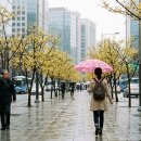 아침풍경 이미지