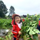 석호농장 이미지