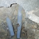 낙생초등학교 이미지