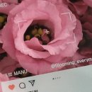 꽃피는열두달 이미지
