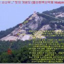 꿈꾸는소나무