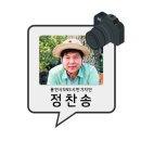 대대리마을회관 네이버블로그