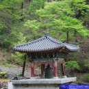 진주 성전암 목조여래좌상 이미지