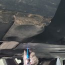 바이드핸더 이미지