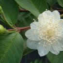 기현2농장 이미지