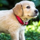 연성 동물병원 이미지