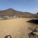 구수리 농장 네이버블로그