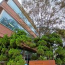 초록공인중개사사무소 | 서울특별시교육청 양천도서관