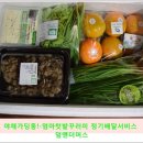 영수네과일 | 덤앤더머스! 엄마텃밭꾸러미 야채가딩동으로 우리집 식탁이 풍성해졌어요.*^^*
