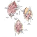 쿨펫동물병원 이미지