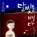 달빛가죽