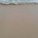 밀영어행정사사무소 이미지