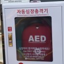 태백경찰서 앞 횡단보도 | 모두의 안전이 먼저입니다. 찾아가는 어린이 안전교육, 태백 하늘빛유치원 체험 활동 이야기